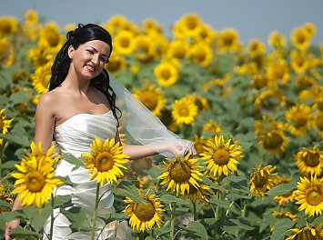 Foto Studio Enigma Nunta Deva